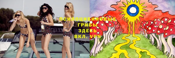 гидропоника Армянск